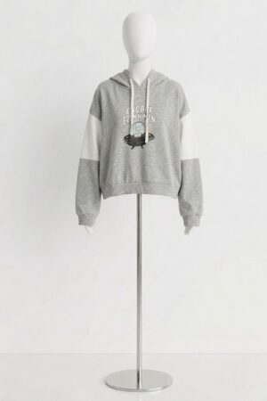 Graphic hooded sweatshirt
